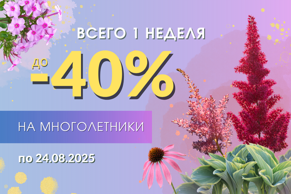 Все многолетники со скидкой до -40%.