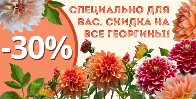 🔥 СКИДКИ НА ВСЕ ГЕОРГИНЫ -30%.🌿 ВРЕМЯ ОРГАНИЧЕНО!⏰ЗАВЕРШЕНА