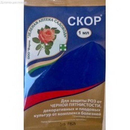 Фунгицид Скор фото