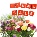 ВЕСНА 2023 🌺 FINAL SALE ❗️ - Dolinasad.by