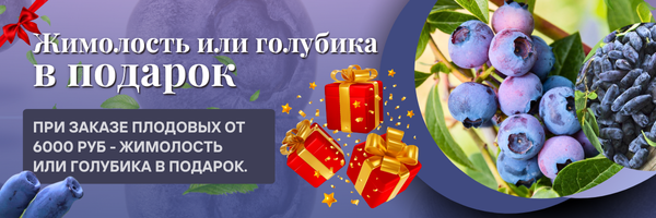 подарок плодовые