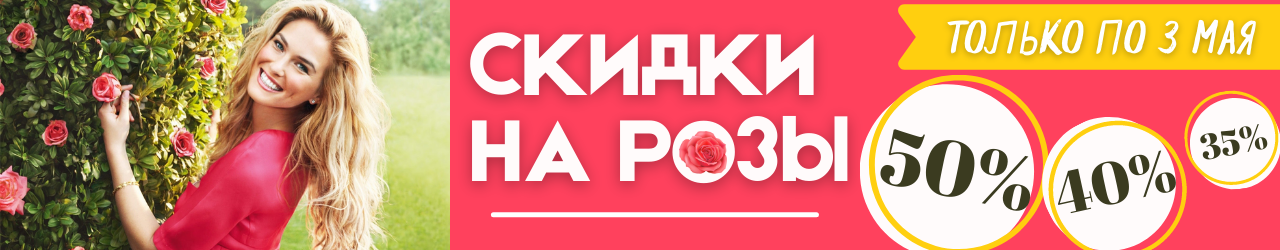 Осенняя продажа саженцев малины. 41dd392e3ebd9561767500fb626b9624. Осенняя продажа саженцев малины фото. Осенняя продажа саженцев малины-41dd392e3ebd9561767500fb626b9624. картинка Осенняя продажа саженцев малины. картинка 41dd392e3ebd9561767500fb626b9624. Наш питомник специализируется в основном на выращивании саженцев малины, ежевики, флоксов, цветов. Малины у нас порядка 30 сортов, ежевики 10 сортов, флоксов 350 сортов. Малина купить саженцы в Москве в питомнике. Высылаем почтой саженцы малины во все регионы или транспортной компанией СДЭК. В горшках мы можем высылать почтой не только весной и осенью, но и летом. В Москву доставляем бесплатно к метро Алтуфьево или Селигерская. Возможен самовывоз из питомника. Где купить саженцы малины? Купить саженцы малины в питомнике в Москве. Малина купить кусты, рассаду, корневище.