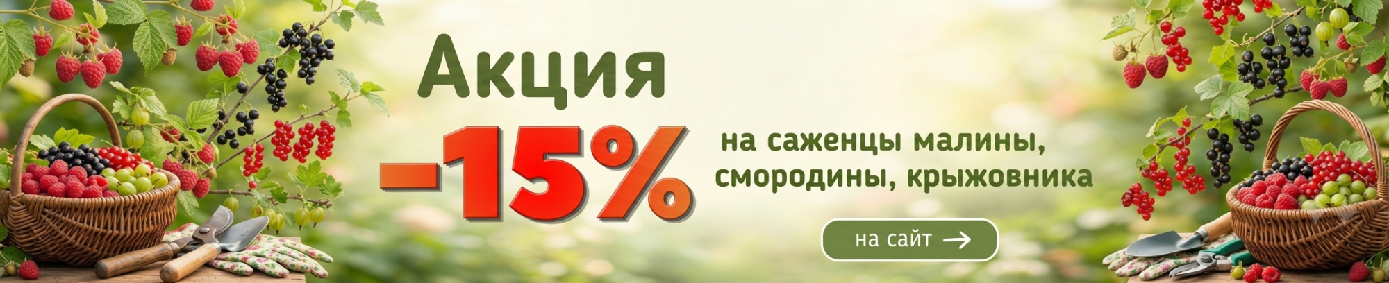 плодовые кусты предзаказ плодовые кусты предзаказ