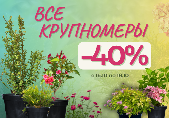 Вау! -40% НА ВСЕ КРУПНОМЕРЫ В ГОРШКАХ С1,5-С15.