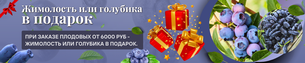 подарок плодовые