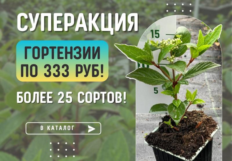 АНТИкризисные скидки -60% на плодовые растения! ЗАВЕРШЕНА.