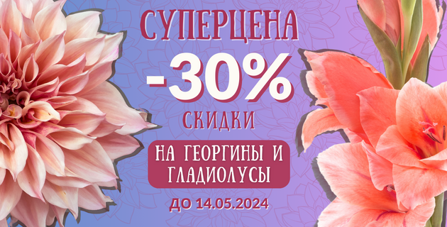 🔥 НА БОЛЬШИЕ ВЫХОДНЫЕ СКИДКА 30% 🔥НА ВСЕ ГЕОРГИНЫ И ГЛАДИОЛУСЫ😍 ЗАВЕРШЕНА.