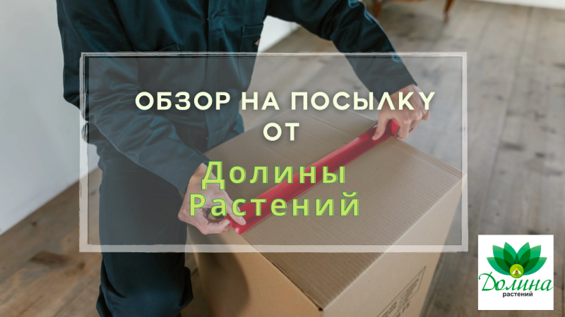 Видео-обзор на посылку от Долины Растений📦🌷