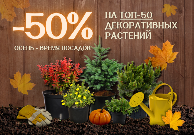 Топ-50 декоративных растений со скидкой 50%. ЗАВЕРШЕНА