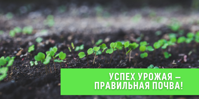 Успех урожая – правильная почва! 🌻