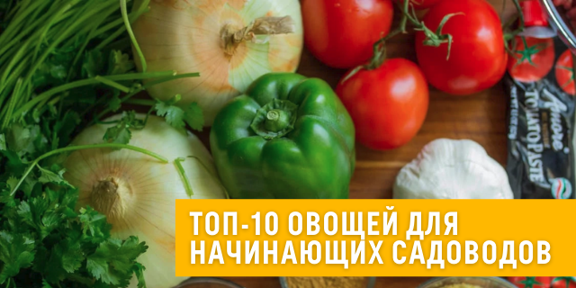 Топ-10 овощей для начинающих садоводов 🥦🍅