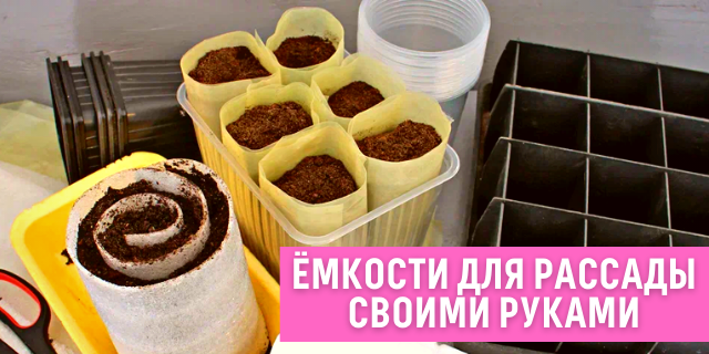 Ёмкости для рассады своими руками✅