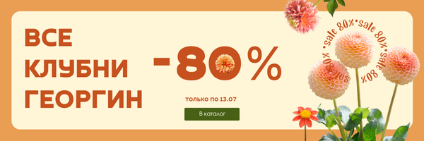 Георгины -80%