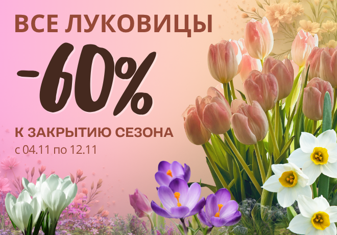 -60% НА ВСЕ ЛУКОВИЦЫ К ЗАВЕРШЕНИЮ СЕЗОНА.ЗАВЕРШЕНА