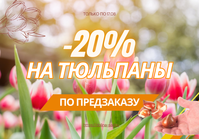 ВСЕ ТЮЛЬПАНЫ СО СКИДКОЙ 20%. ЗАВЕРШЕНА
