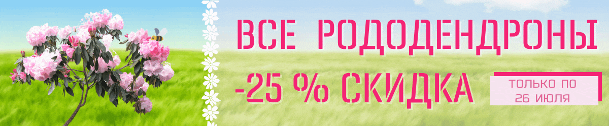 Dolina Sad Ru Интернет Магазин Отзывы Покупателей