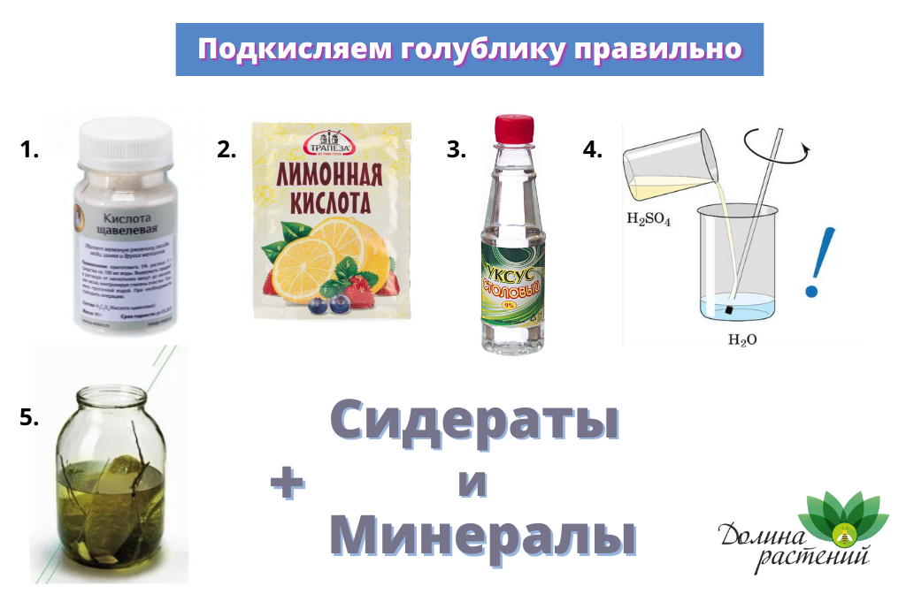 Электролит для голубики пропорции. Молочная кислота. Применение молочной кислоты. Молочная кислота как выглядит. Молочная кислота применение.