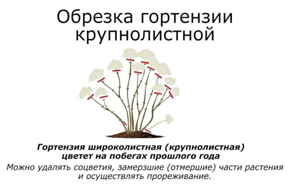 обрезка обрезка