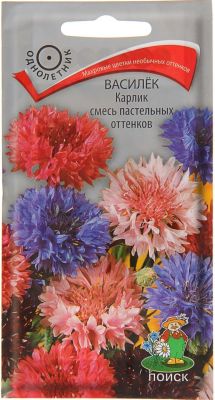 Василек карликовая смесь пастельных тонов, 0,1гр фото