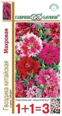 Гвоздика китайская Махровые*, смесь 0,6 г серия 1+1 Н14 фото
