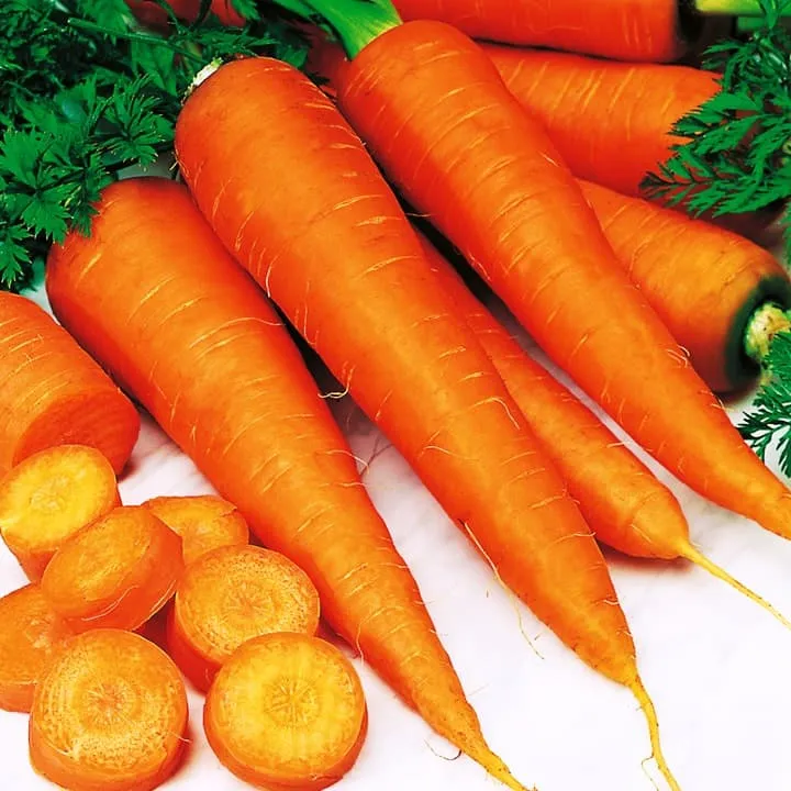 Морковь  Зимний Цукат фото